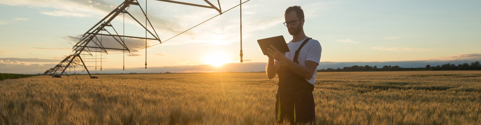 Man stood in a grass field with clipboard